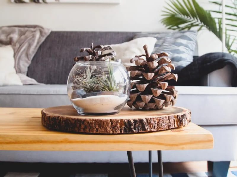 Live-edge coffee table – product photo
