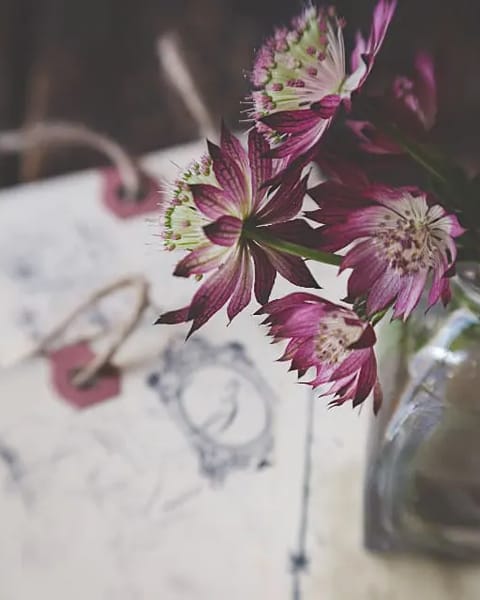 Vase Klarglas – Produktfoto