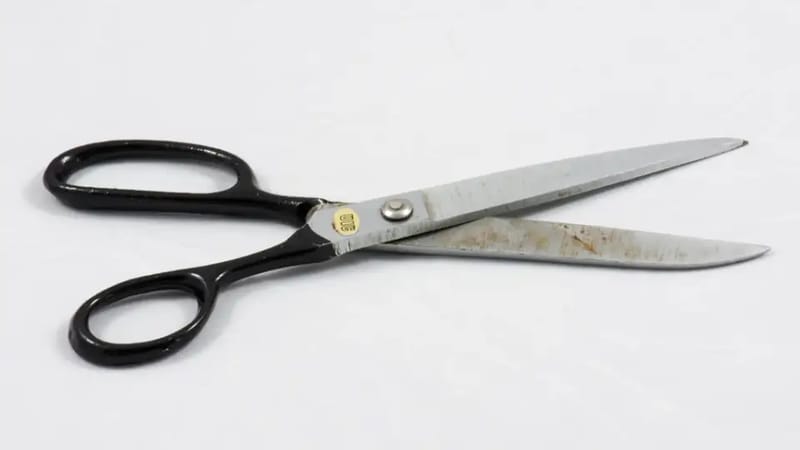 Schneiderschere mit schwarzen Griffen auf weißem Grund
