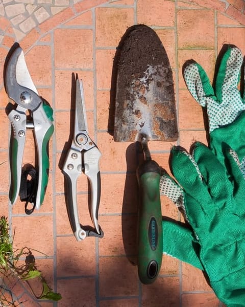 Gartenschere, Kelle und Handschuhe auf Ziegeln