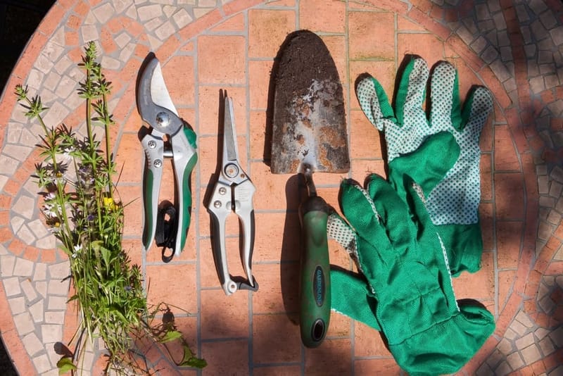 Pruning shears, trowel and gloves on terracotta tiles