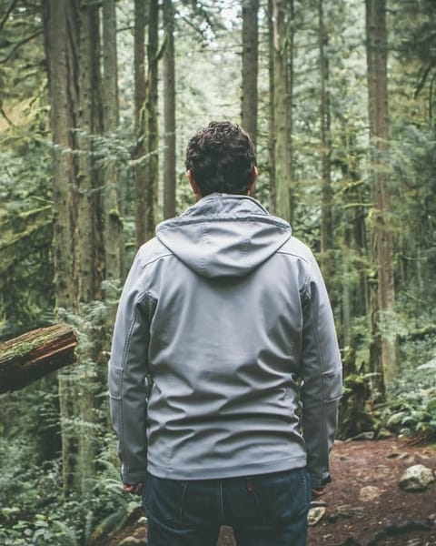 Person in grauem Hoodie im Wald, Rückansicht