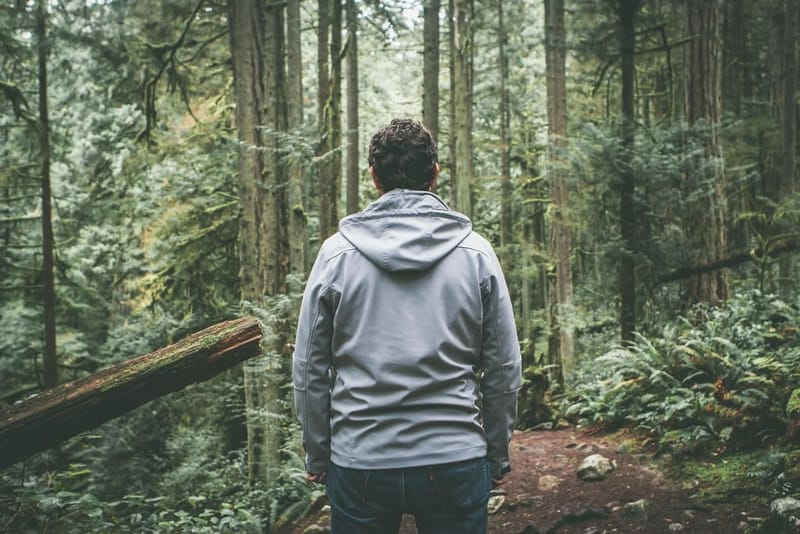 Person in grauem Hoodie im Wald, Rückansicht
