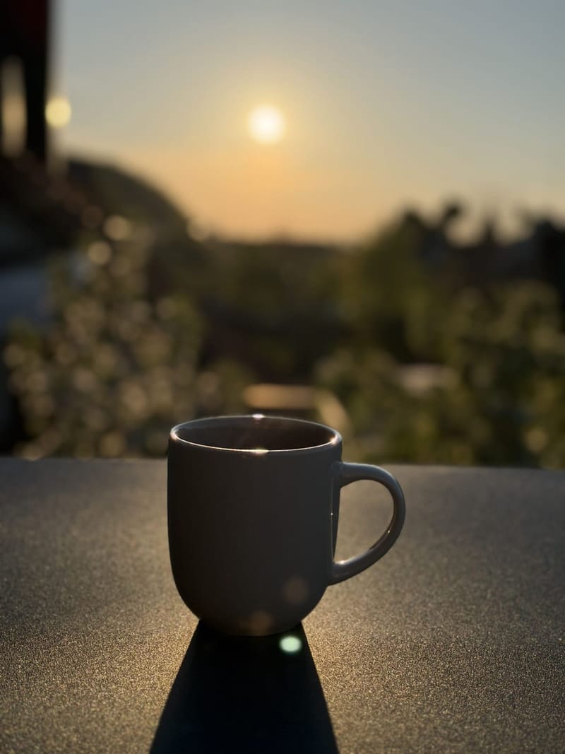 Dunkler Becher im Gegenlicht der Abendsonne
