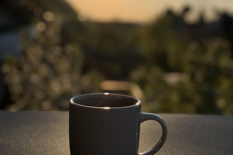 Dunkler Becher im Gegenlicht der Abendsonne