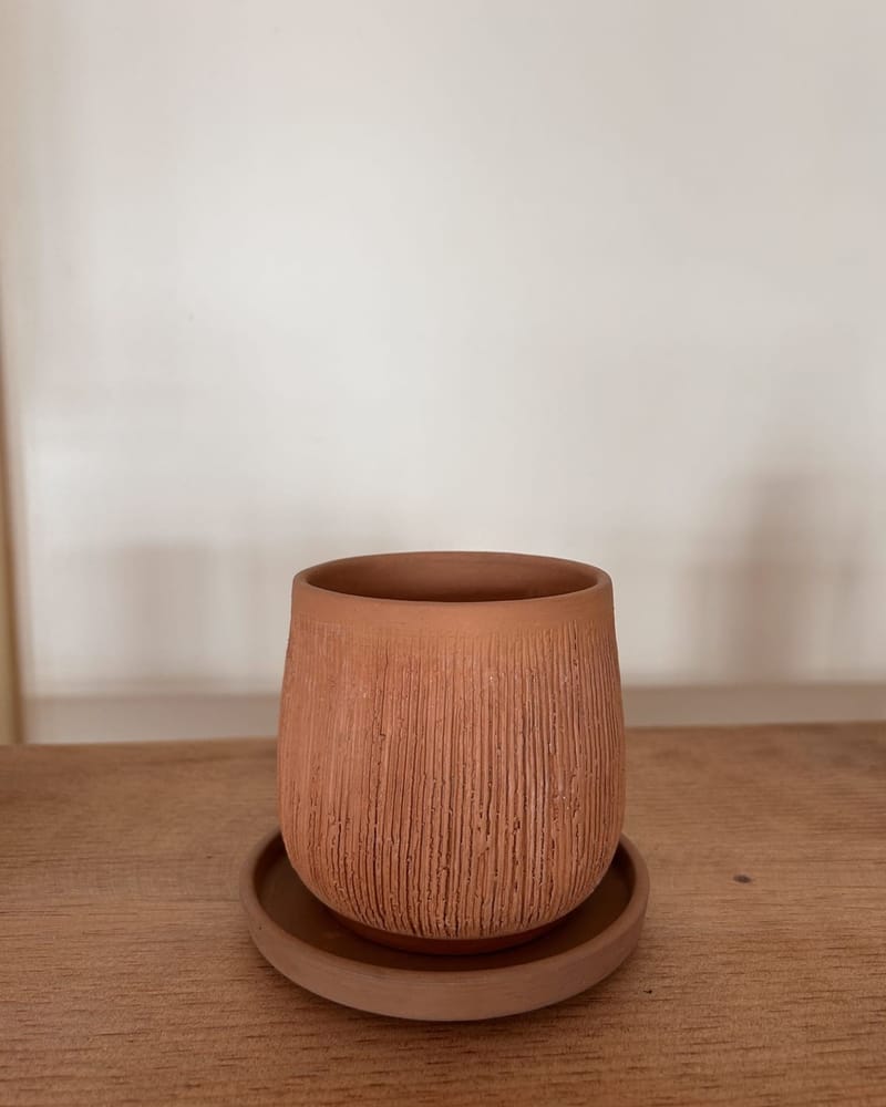 Terracotta pot with saucer on wood