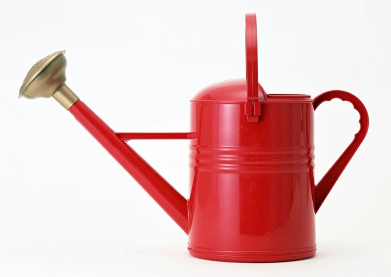 Red watering can with brass rose