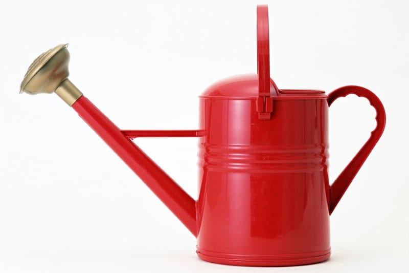 Red watering can with brass rose