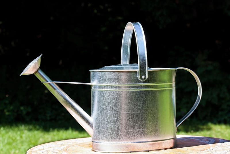 Zinc watering can in the garden